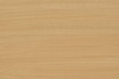 kahverengi meşe ağaç yapısı doku arka plan duvar kağıdı