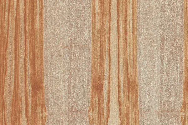 dişbudak ağaç ağaç yapısı doku arka plan yüzey duvar kağıdı