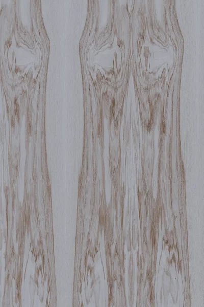 dişbudak ağaç ahşap yapı doku arka plan yüzey duvar kağıdı yüksek boyutu