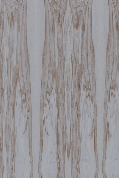 dişbudak ağaç ahşap yapı doku arka plan yüzey duvar kağıdı yüksek boyutu