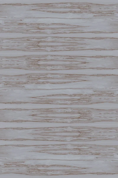 dişbudak ağaç ahşap yapı doku arka plan yüzey duvar kağıdı yüksek boyutu