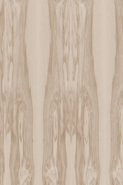 Esche Baum Holz Struktur Textur Hintergrund Oberfläche Tapete Hohe Größe — Stockfoto
