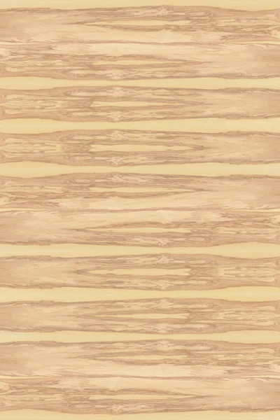 dişbudak ağaç ahşap yapı doku arka plan yüzey duvar kağıdı yüksek boyutu