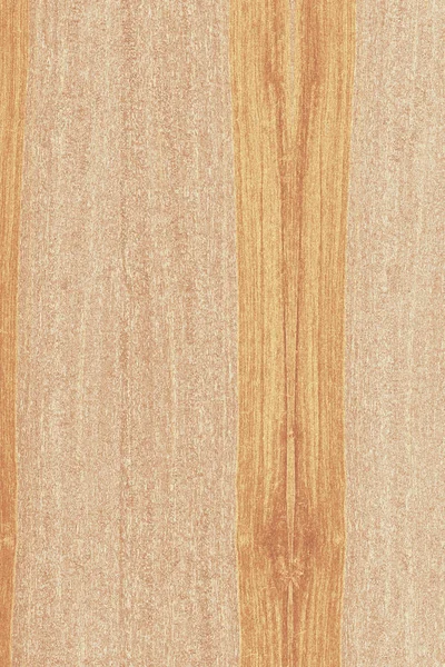 dişbudak ağaç ahşap yapı doku arka plan yüzey duvar kağıdı yüksek boyutu