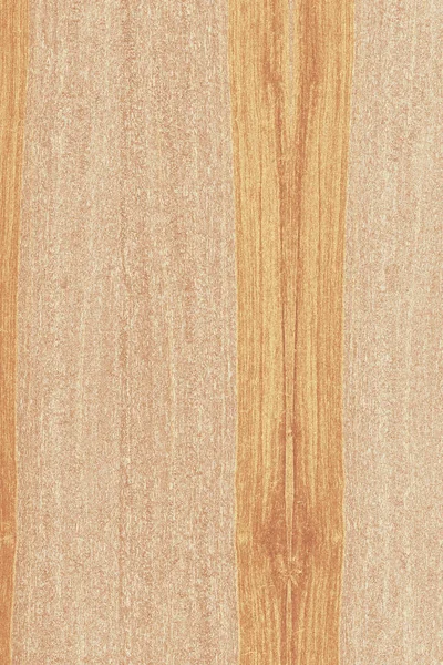 dişbudak ağaç ahşap yapı doku arka plan yüzey duvar kağıdı yüksek boyutu