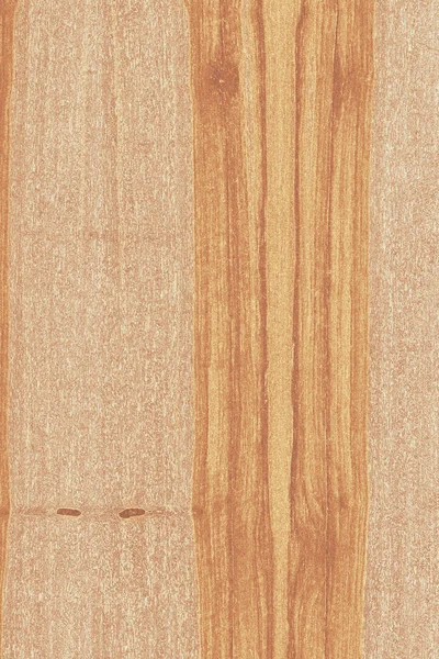 dişbudak ağaç ahşap yapı doku arka plan yüzey duvar kağıdı yüksek boyutu