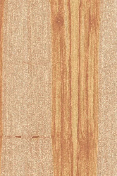dişbudak ağaç ahşap yapı doku arka plan yüzey duvar kağıdı yüksek boyutu