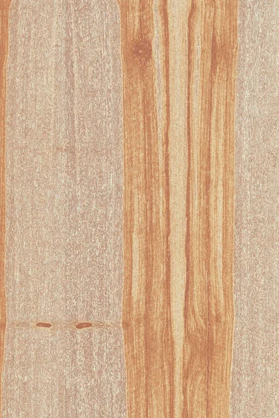 dişbudak ağaç ahşap yapı doku arka plan yüzey duvar kağıdı yüksek boyutu