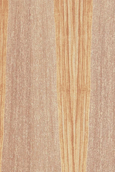 dişbudak ağaç ahşap yapı doku arka plan yüzey duvar kağıdı yüksek boyutu