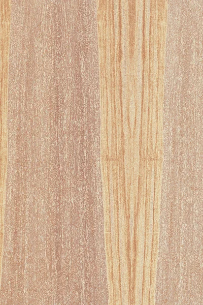 dişbudak ağaç ahşap yapı doku arka plan yüzey duvar kağıdı yüksek boyutu