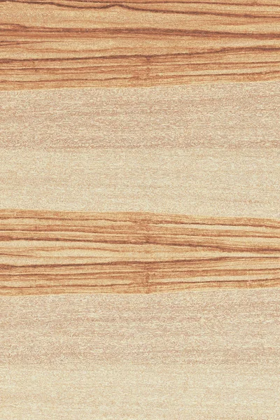 dişbudak ağaç ahşap yapı doku arka plan yüzey duvar kağıdı yüksek boyutu