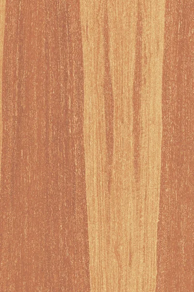 dişbudak ağaç ahşap yapı doku arka plan yüzey duvar kağıdı yüksek boyutu