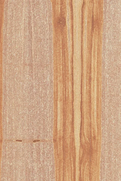 dişbudak ağaç ahşap yapı doku arka plan yüzey duvar kağıdı yüksek boyutu