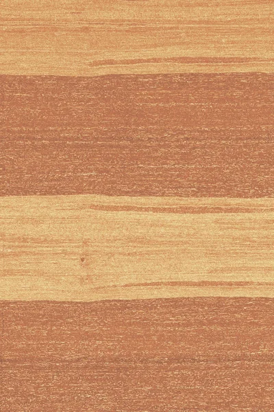 dişbudak ağaç ahşap yapı doku arka plan yüzey duvar kağıdı yüksek boyutu