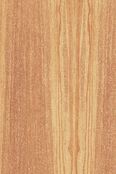 dişbudak ağaç ahşap yapı doku arka plan yüzey duvar kağıdı yüksek boyutu