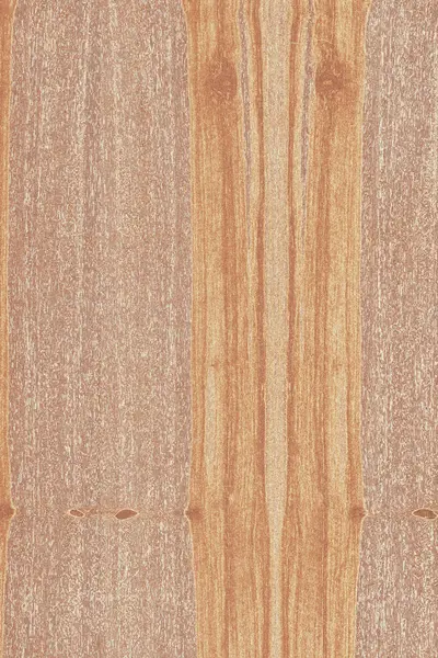 dişbudak ağaç ahşap yapı doku arka plan yüzey duvar kağıdı yüksek boyutu