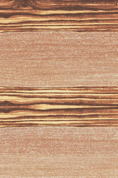 Árbol Fresno Estructura Madera Textura Fondo Superficie Papel Pintado Alto —  Fotos de Stock