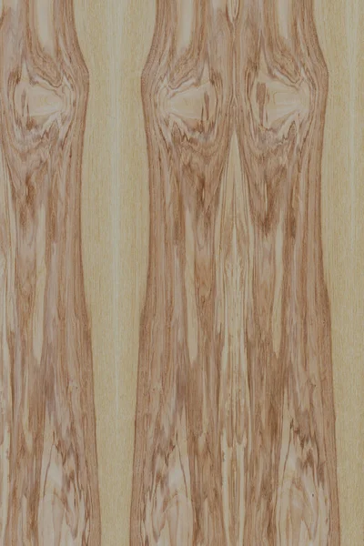 dişbudak ağaç ahşap yapı doku arka plan yüzey duvar kağıdı yüksek boyutu