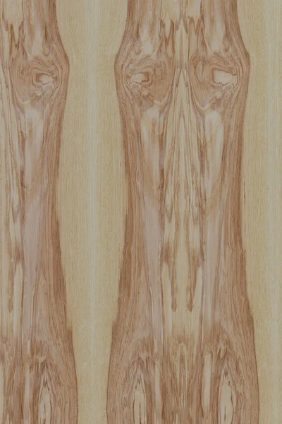 dişbudak ağaç ahşap yapı doku arka plan yüzey duvar kağıdı yüksek boyutu