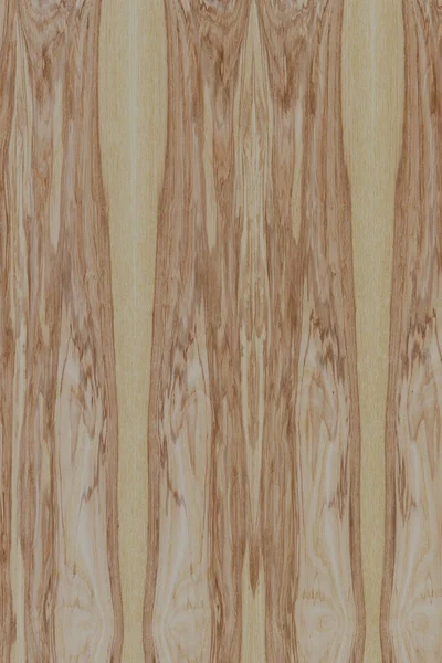 dişbudak ağaç ahşap yapı doku arka plan yüzey duvar kağıdı yüksek boyutu