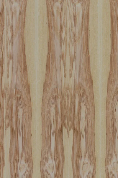 dişbudak ağaç ahşap yapı doku arka plan yüzey duvar kağıdı yüksek boyutu