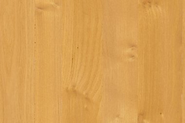 kahverengi meşe ağaç yapısı doku arka plan duvar kağıdı