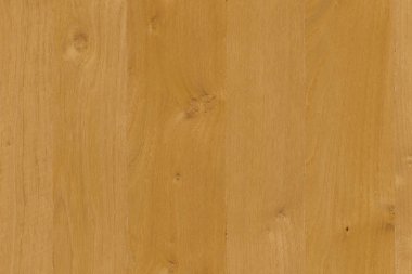 kahverengi meşe ağaç yapısı doku arka plan duvar kağıdı