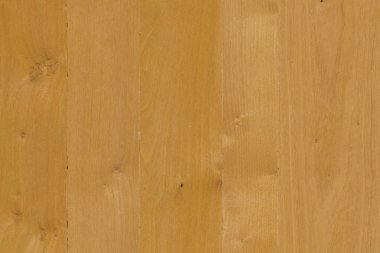 kahverengi meşe ağaç yapısı doku arka plan duvar kağıdı