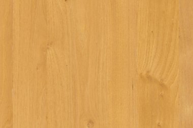 kahverengi meşe ağaç yapısı doku arka plan duvar kağıdı