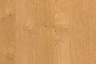 kahverengi meşe ağaç yapısı doku arka plan duvar kağıdı