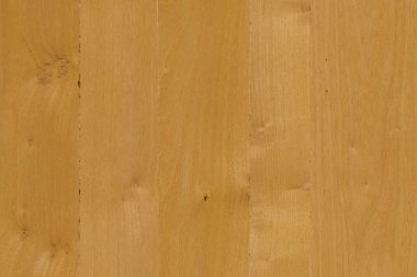 kahverengi meşe ağaç yapısı doku arka plan duvar kağıdı