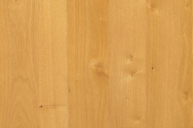 kahverengi meşe ağaç yapısı doku arka plan duvar kağıdı