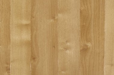 kahverengi meşe ağaç yapısı doku arka plan duvar kağıdı