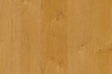 kahverengi meşe ağaç yapısı doku arka plan duvar kağıdı