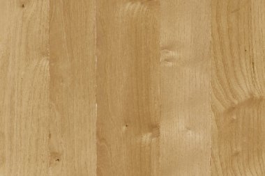 kahverengi meşe ağaç yapısı doku arka plan duvar kağıdı