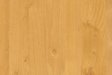 kahverengi meşe ağaç yapısı doku arka plan duvar kağıdı