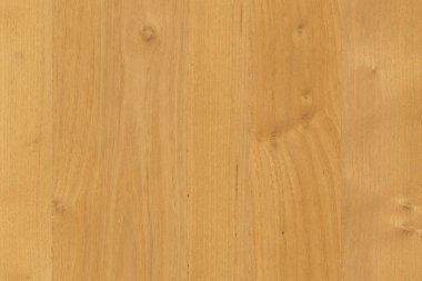 kahverengi meşe ağaç yapısı doku arka plan duvar kağıdı