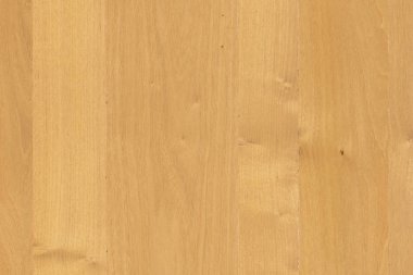 kahverengi meşe ağaç yapısı doku arka plan duvar kağıdı