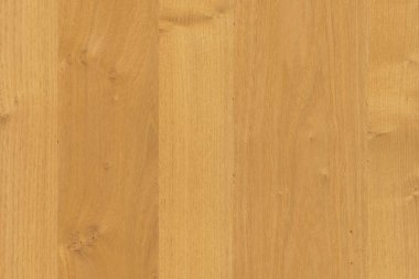 kahverengi meşe ağaç yapısı doku arka plan duvar kağıdı