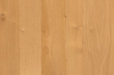 kahverengi meşe ağaç yapısı doku arka plan duvar kağıdı