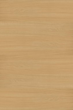 meşe ağacı ahşap Ahşap ahşap duvar kağıdı zemin yapısı doku arka plan 