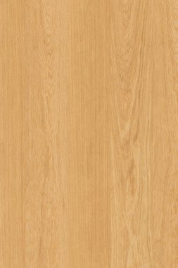 meşe ağacı ahşap Ahşap ahşap duvar kağıdı zemin yapısı doku arka plan 