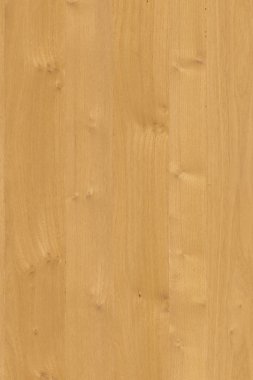 meşe ağacı ahşap Ahşap ahşap duvar kağıdı zemin yapısı doku arka plan 