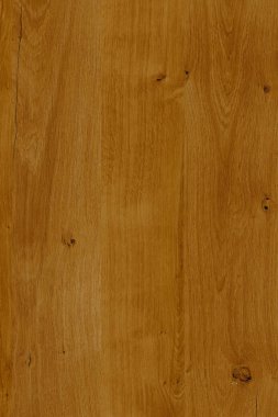 meşe ağacı ahşap Ahşap ahşap duvar kağıdı zemin yapısı doku arka plan 