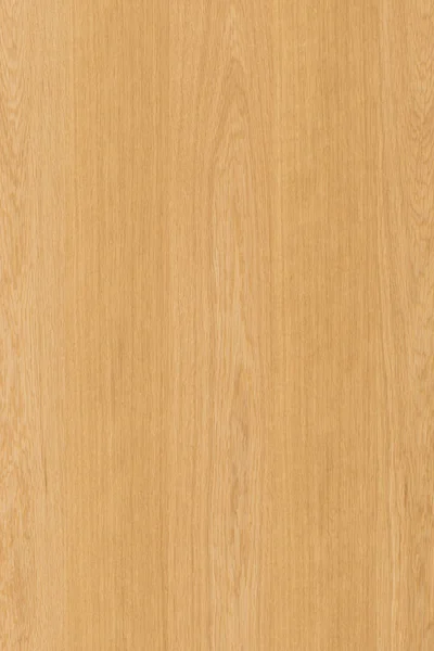 橡树木材木材木壁纸背景结构纹理背景 — 图库照片