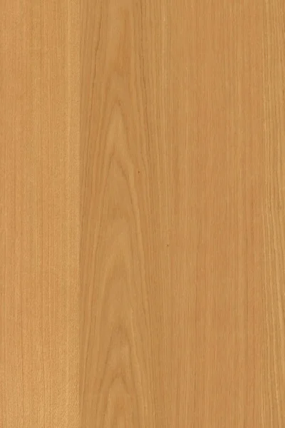 橡树木材木材木壁纸背景结构纹理背景 — 图库照片