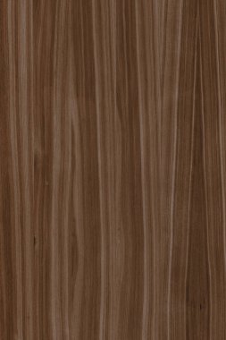 Jacaranda Kereste ağaç ahşap tahıl yapı doku arka plan zemin 6000x4000px yüksek boyutu