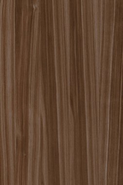 Jacaranda Kereste ağaç ahşap tahıl yapı doku arka plan zemin 6000x4000px yüksek boyutu