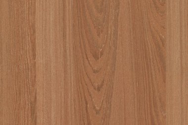 çam ağacı ahşap yapı doku arka plan yüzey duvar kağıdı