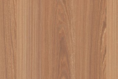 çam ağacı ahşap yapı doku arka plan yüzey duvar kağıdı